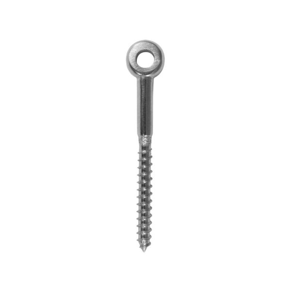 BLA Eye Head Lag Screws - 316 Stainless Steel - Large / 6mm x 80mm