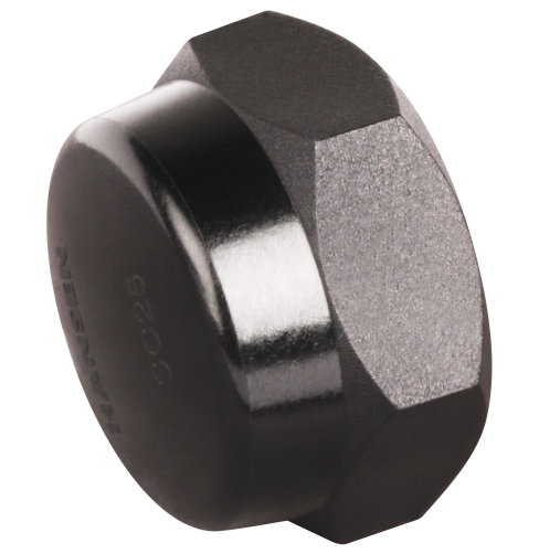 Hansen 15mm Hex Screw Cap