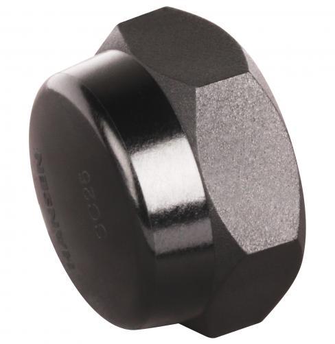Hansen 20mm Hex Screw Cap