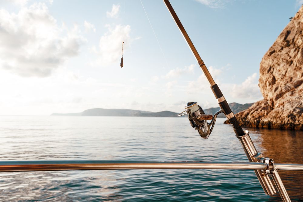 Boat with rod holder